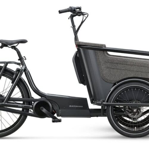 Batavus Fier-3 Env 500 Wh 20 Zoll Dreirad
