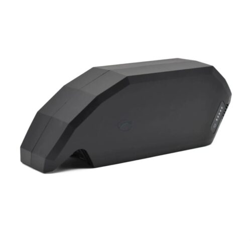 Bosch PowerPack 700 Performance Active Rahmen von E-Bike Vision